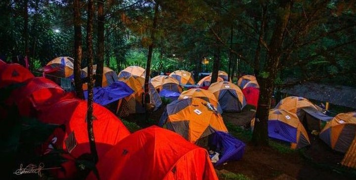 5 Tempat Camping Di Kota Surabaya Terbaru